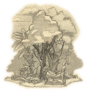 Sketch of the Green Lands